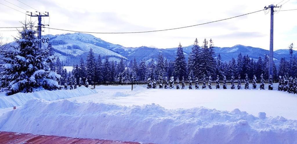 Otuleni Tatrami Apartments Koscielisko Bagian luar foto